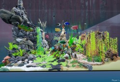 养鱼模拟器/Fish Game