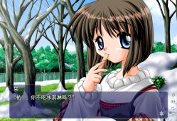 华音/Kanon