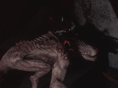 SCP：大流行病/SCP: 5K