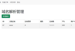 迅风DNS二级域名分发程序开心版