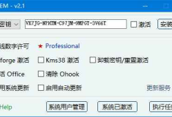 AmOEM(windows/office激活辅助工具) v2.2 中文绿色版