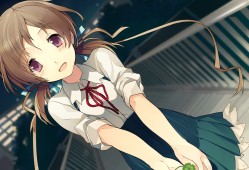 恋爱与选举与巧克力/Love, Elections, and Chocolate