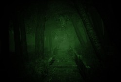 静冈诅咒/Shizuoka Curse