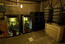 绝命毒师模拟器2/Drug Dealer Simulator 2/支持网络联机