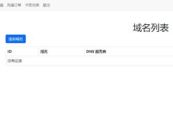 迅风DNS二级域名分发程序开心版