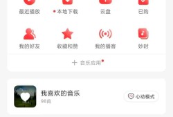 网易云音乐尊享科技版，SVIP会员功能！