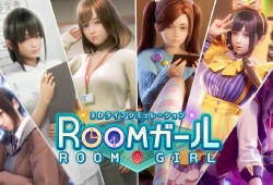 职场少女/Room Girl V