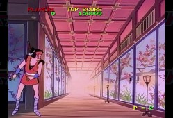 忍者疾风HD Remaster/NINJA HAYATE HD Remaster