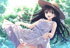 痴情哥哥与病弱妹妹的乡间生活/Sickly Days and Summer Traces