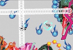 彼之国/SONOKUNI