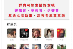 小储云商城付费进群模板无加密免费分享