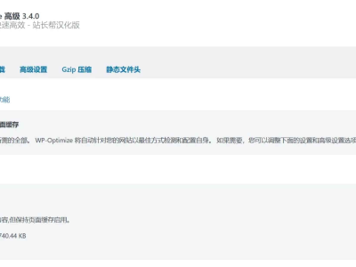 WP-Optimize Premium v4.2.2 汉化版 – WP优化与缓存插件