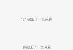 微信防撤回插件 适用3.9.12.31