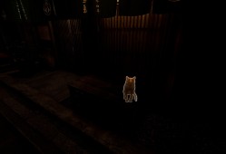京都异常/Kyoto Anomaly