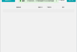 微信视频号下载工具v2.4绿色版