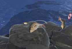 咸鱼翻身/Fish Hero
