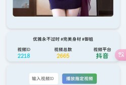 随机视频播放器