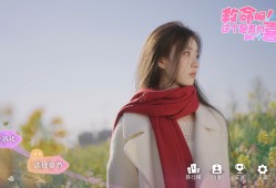 这个是真的喜欢！/I've Fallen For You!