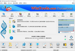 WinTools.one Pro 系统优化工具 v25.2.1 便携版