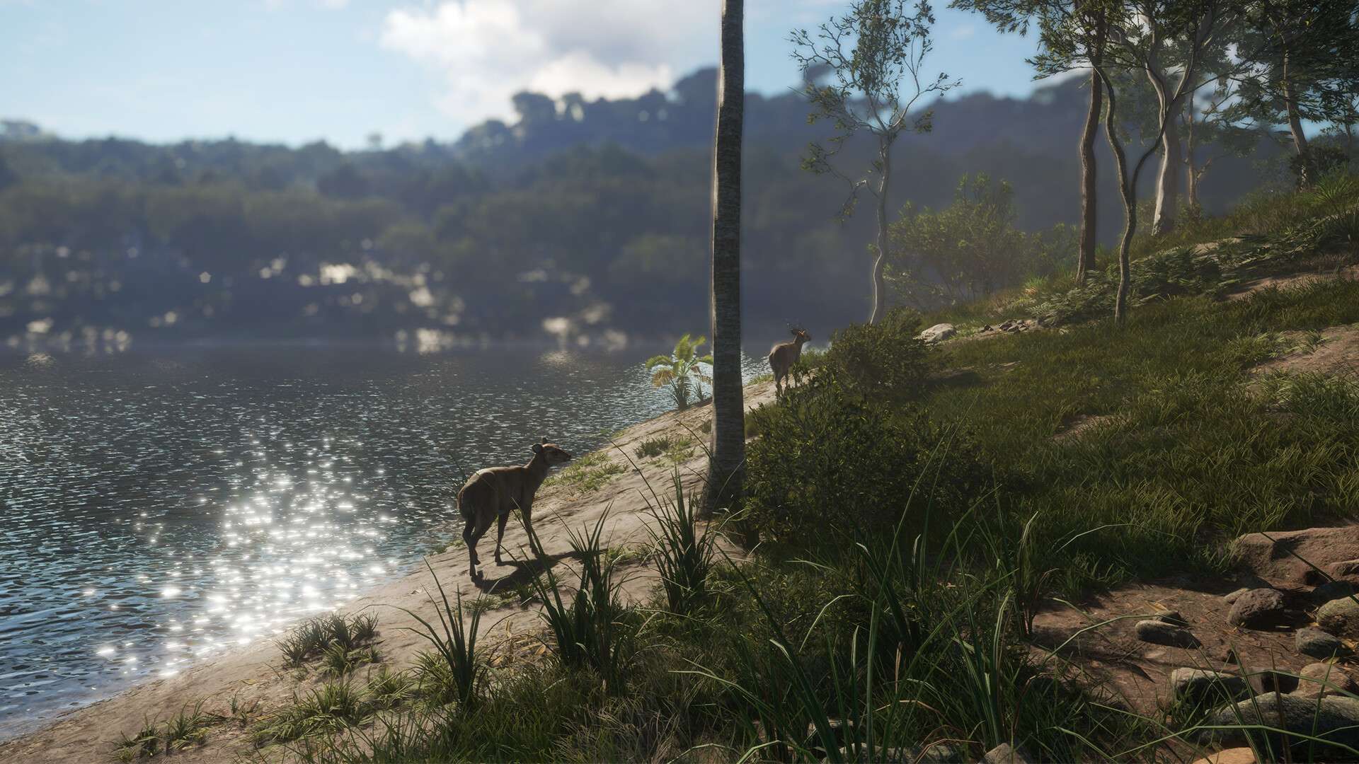 theHunter/猎人：荒野的召唤 v2023.06.20豪华中文版  第1张