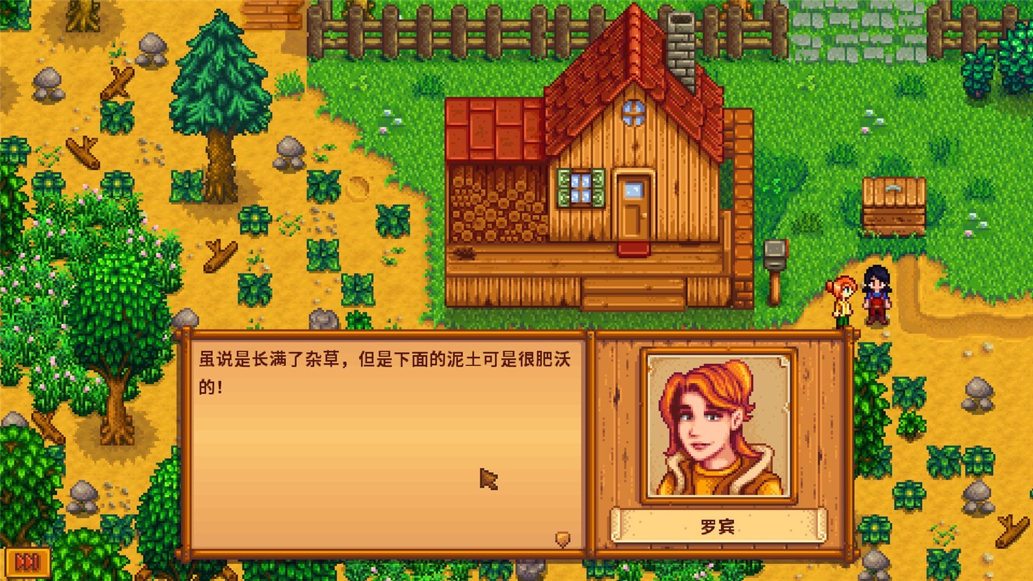 星露谷物语/Stardew Valley  第3张