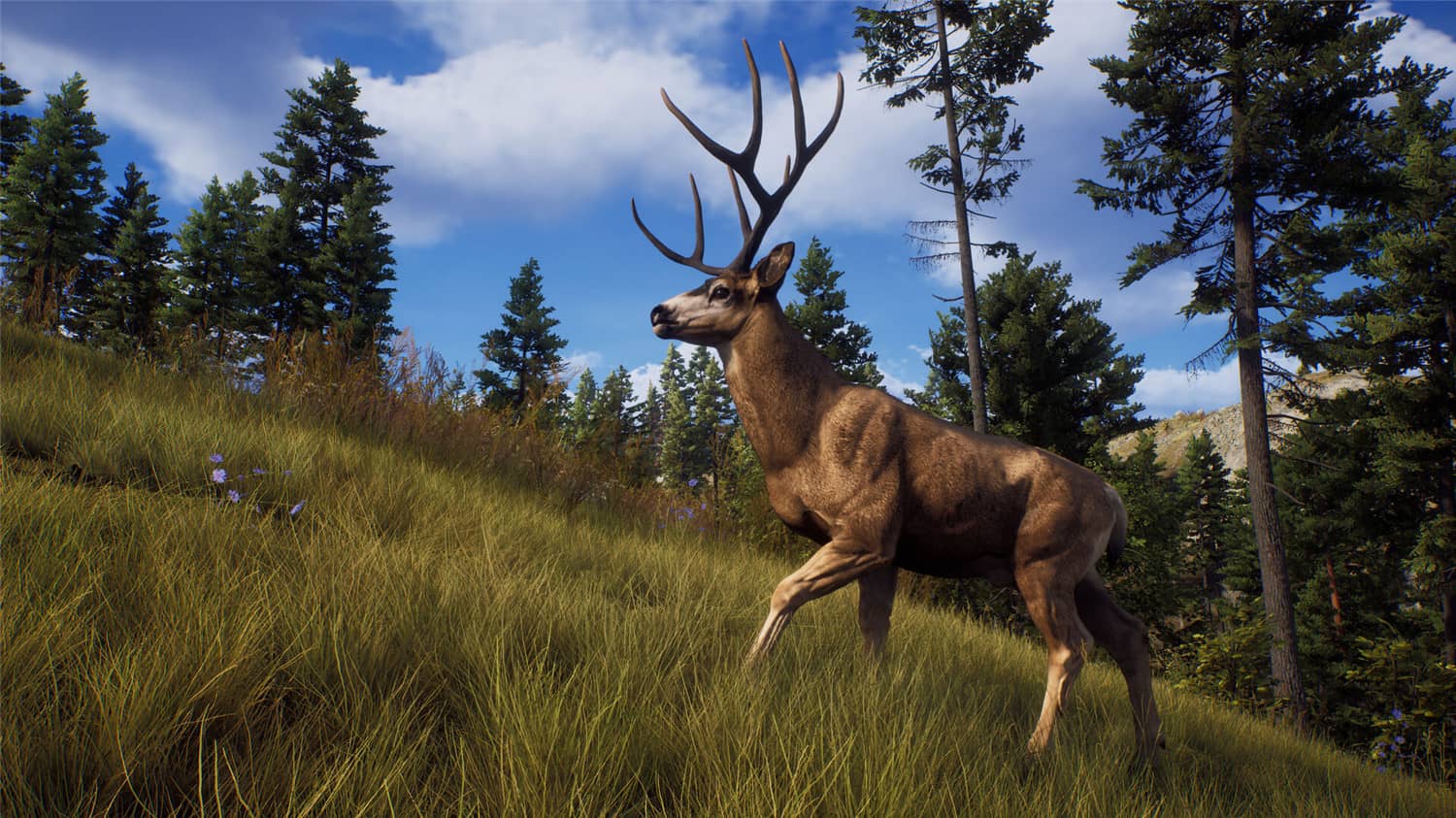 《狩猎之道/猎人之路/Way of the Hunter》V1.27-P2P|整合全DLC|官中|支持键鼠.手柄|容量15.8GB  第1张