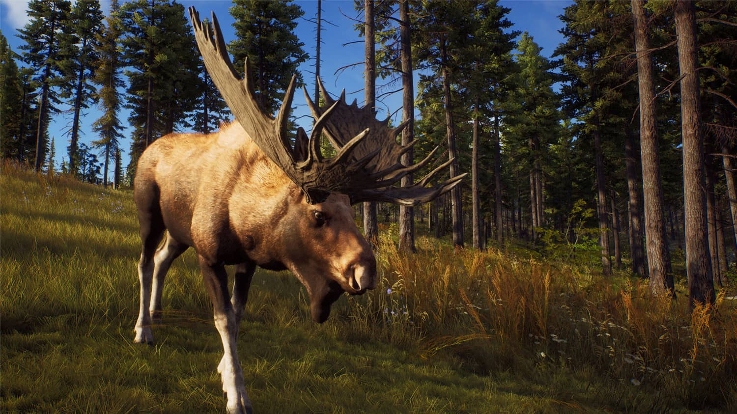 《狩猎之道/猎人之路/Way of the Hunter》V1.27-P2P|整合全DLC|官中|支持键鼠.手柄|容量15.8GB  第3张