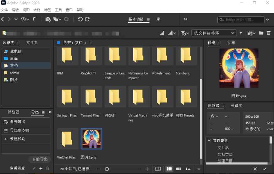 Adobe Bridge BR v14.0.0 解锁版 (多媒体文件组织管理工具)  第1张