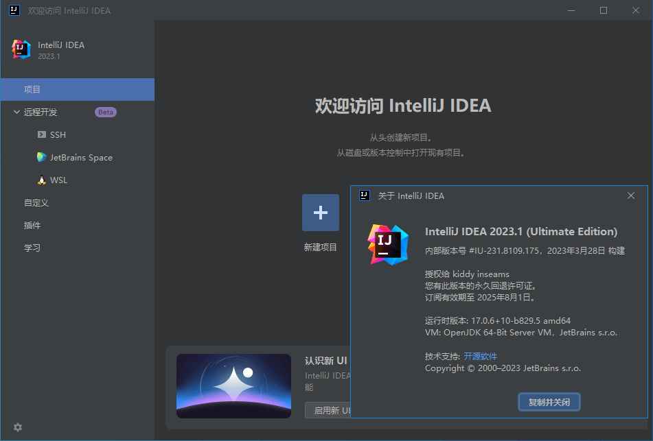 IntelliJ IDEA 2023.2.1 IDEA2023中文激活版  第1张