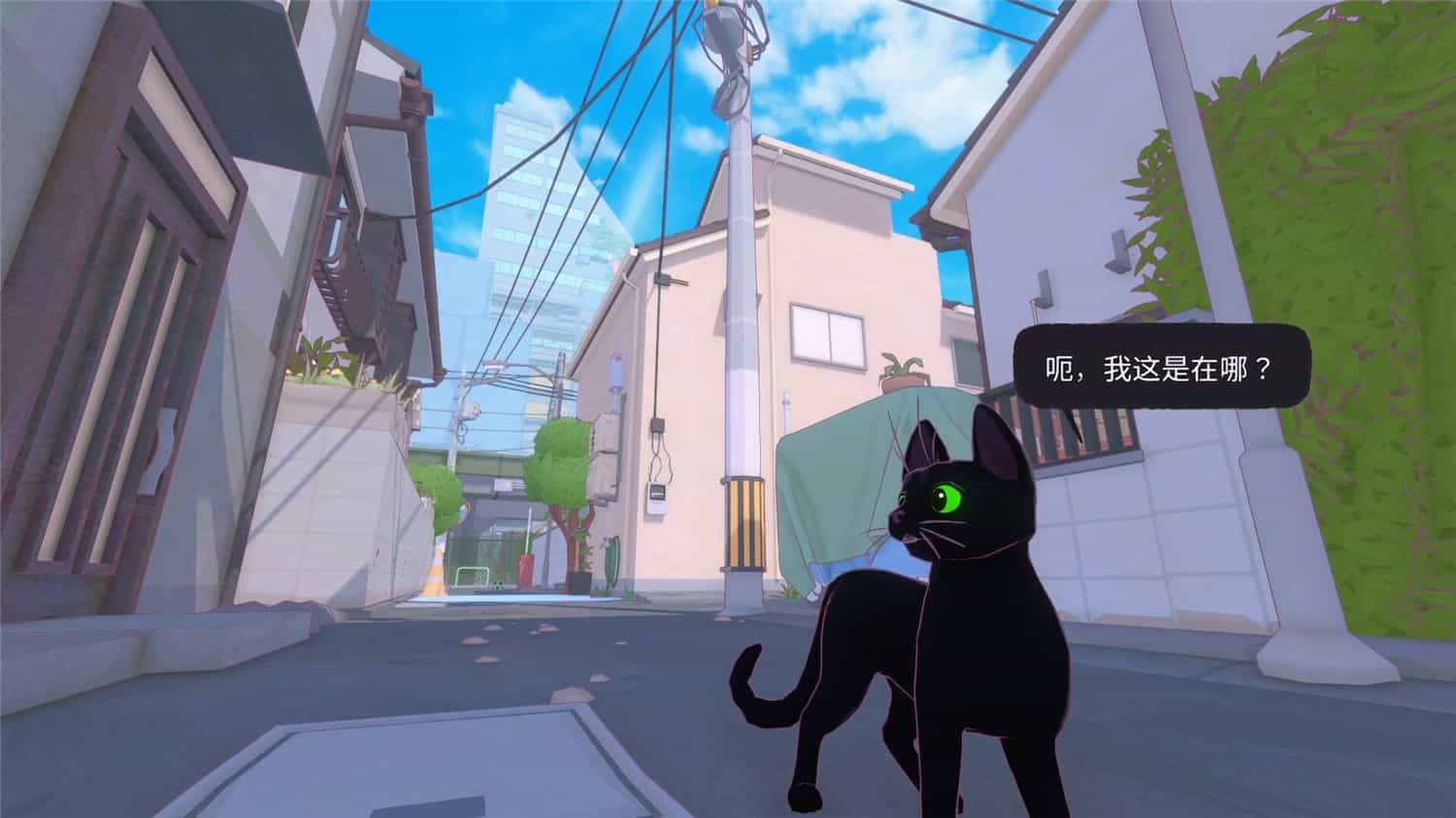 小猫咪大城市/Little Kitty, Big City  第2张
