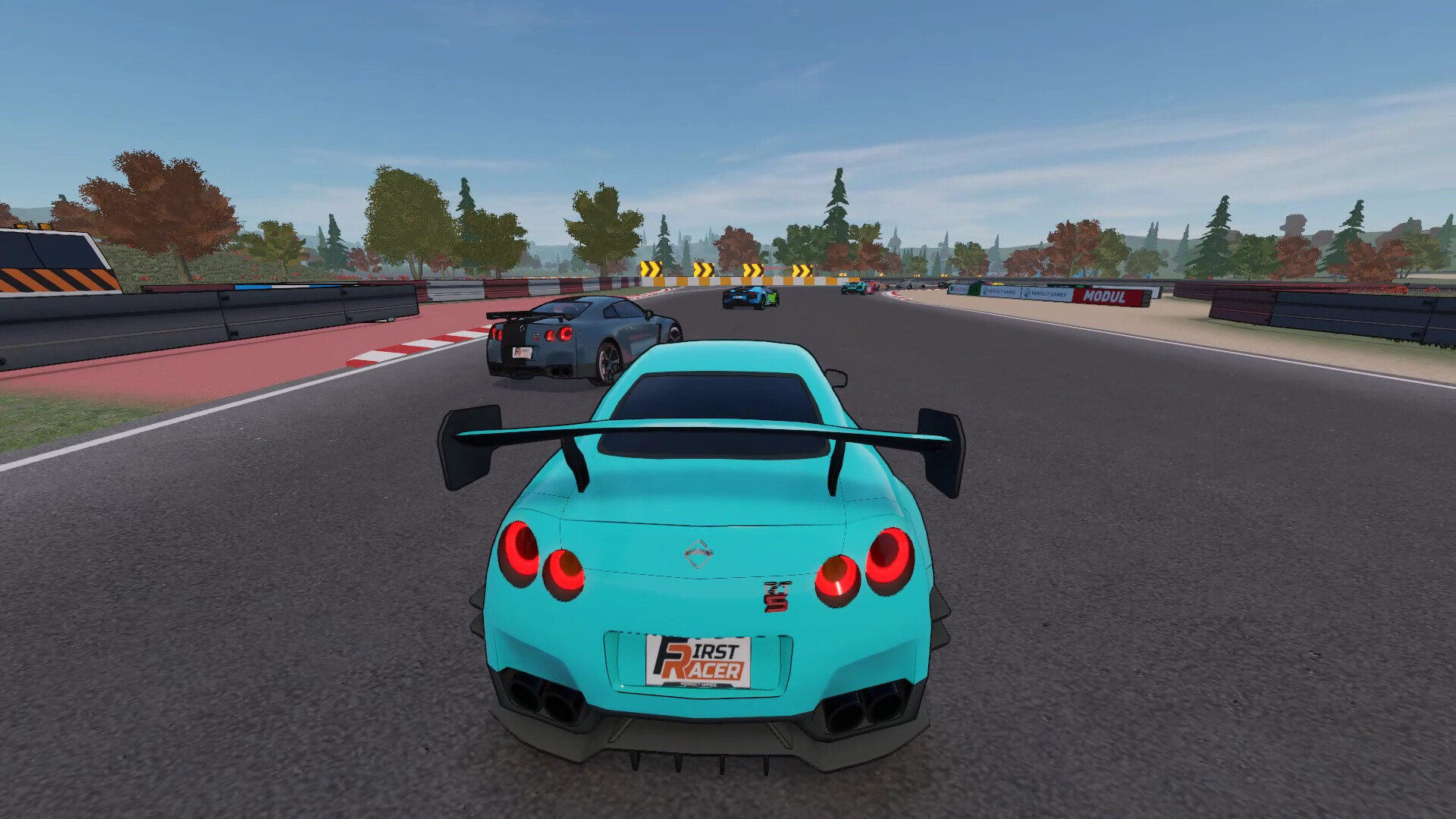 第一赛车手/First Racer  第1张