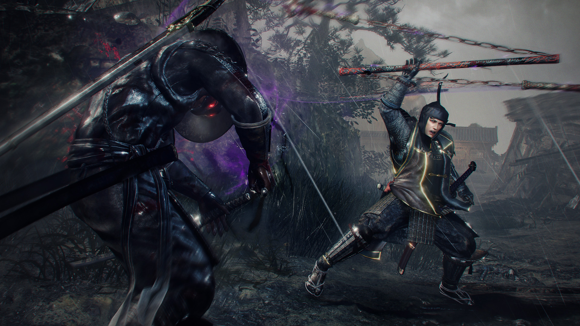仁王2：完整版/Nioh 2 – The Complete Edition  第3张