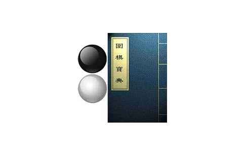 围棋宝典12.0琪法精解打谱解说秒变下棋高手