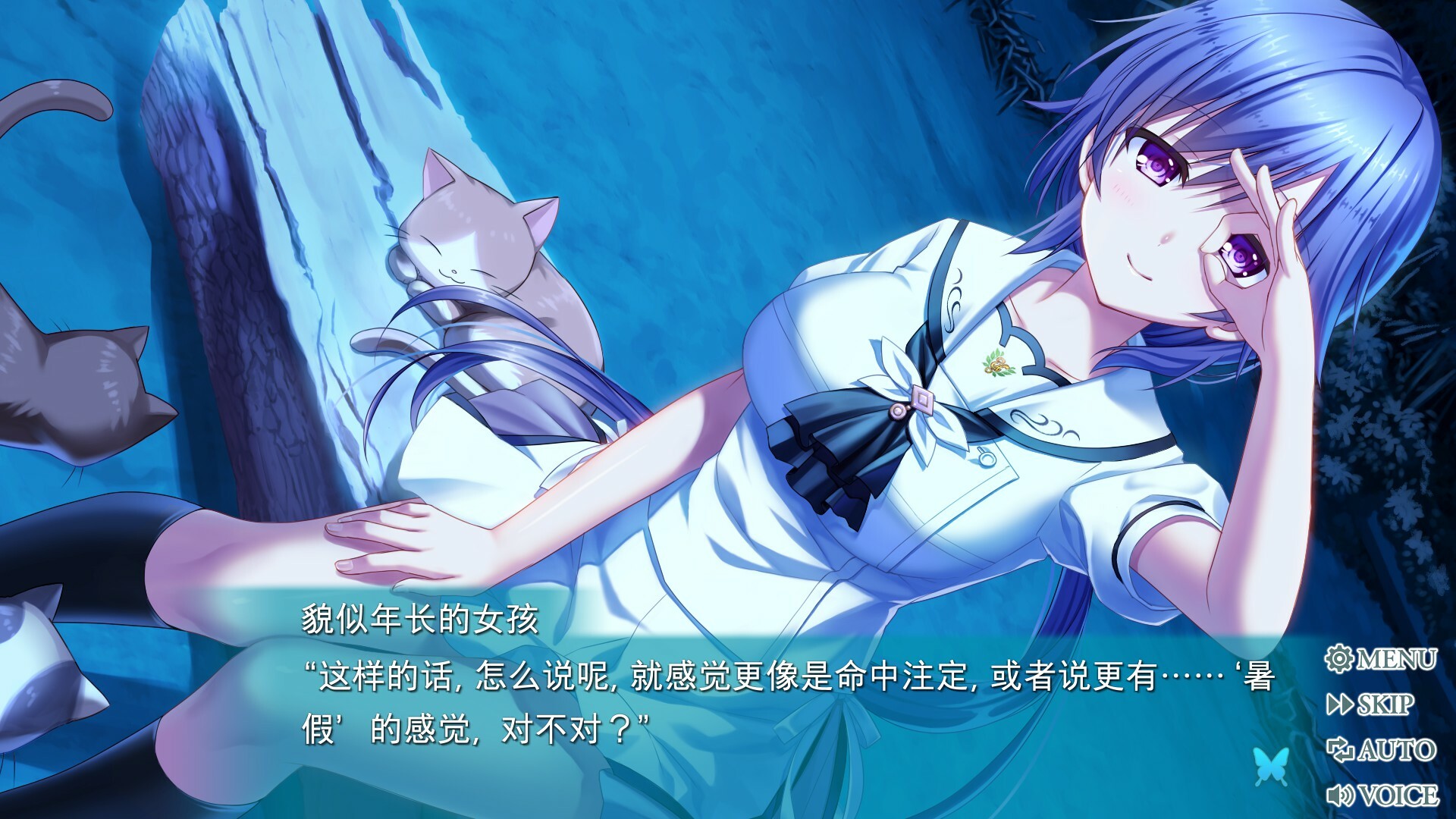 夏日口袋：流光蓝/Summer Pockets REFLECTION BLUE  第4张