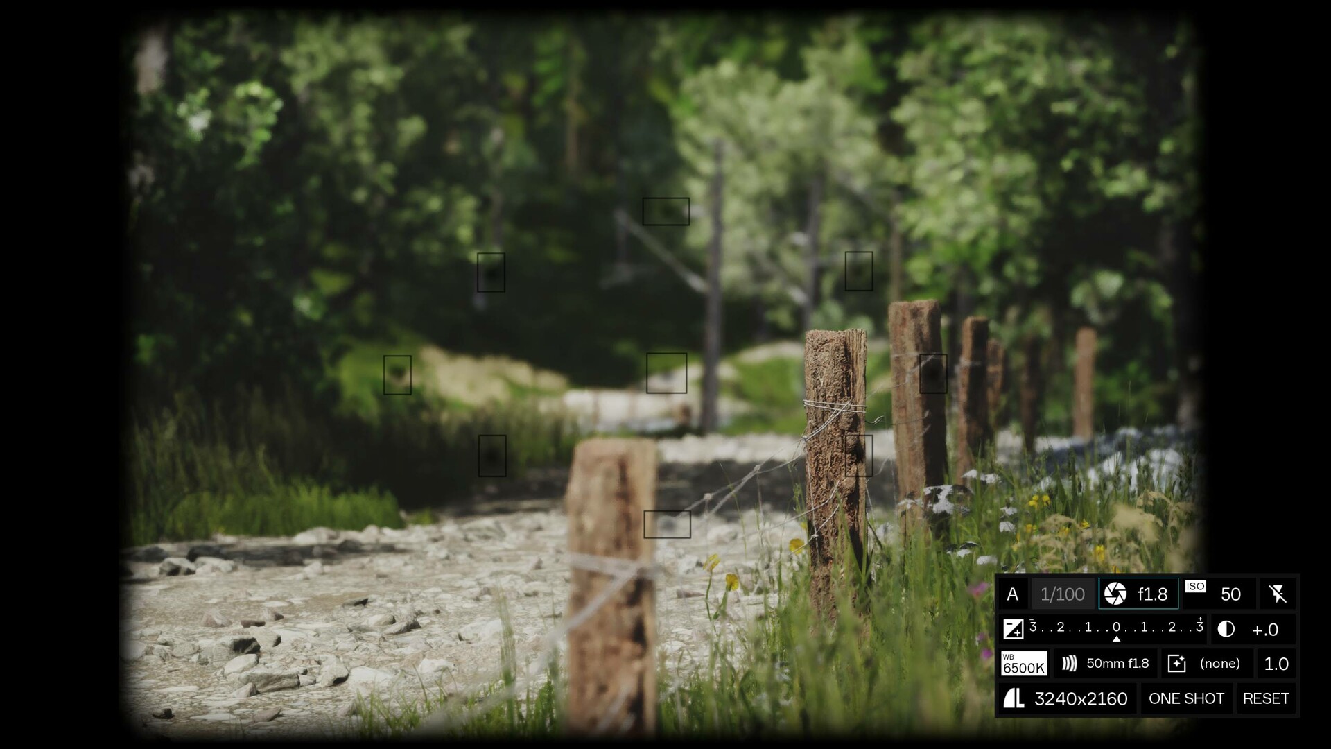 模拟美景摄影/Lushfoil Photography Sim  第4张