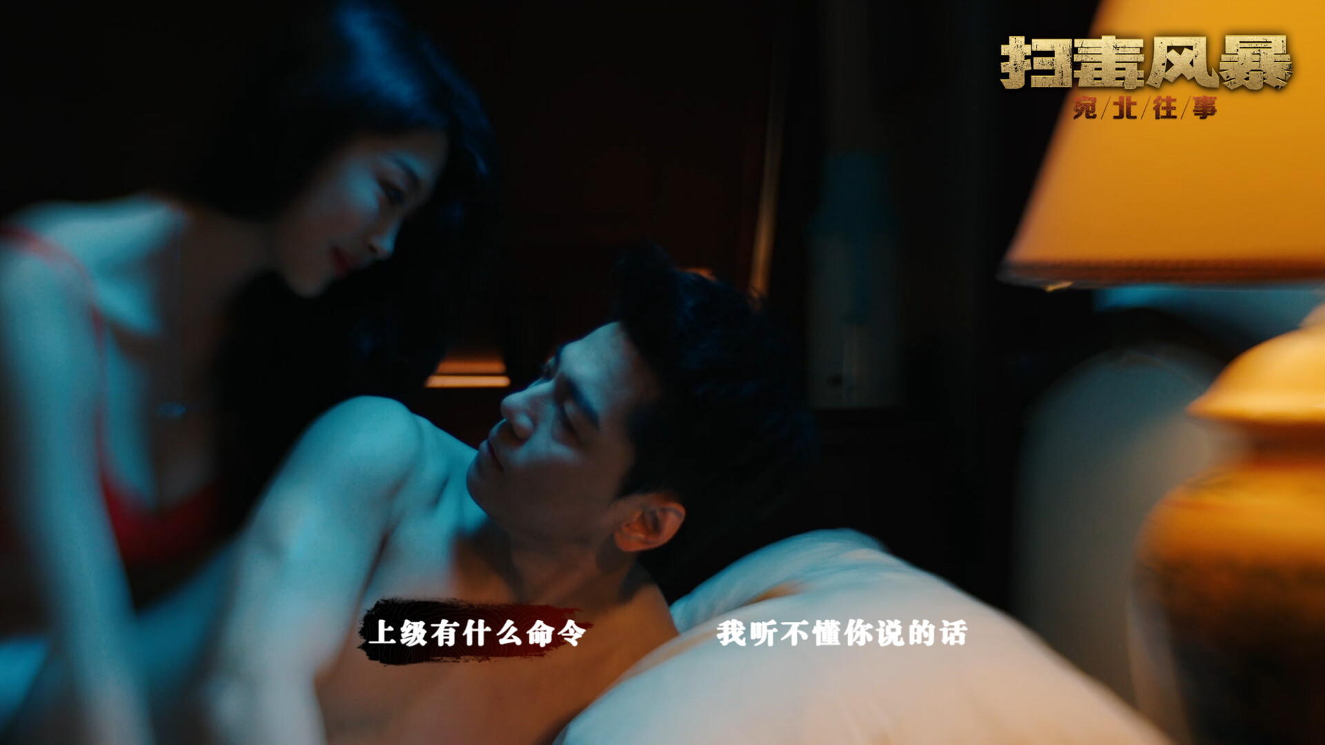 扫毒风暴：宛北往事/The Narcotic Operation  第1张