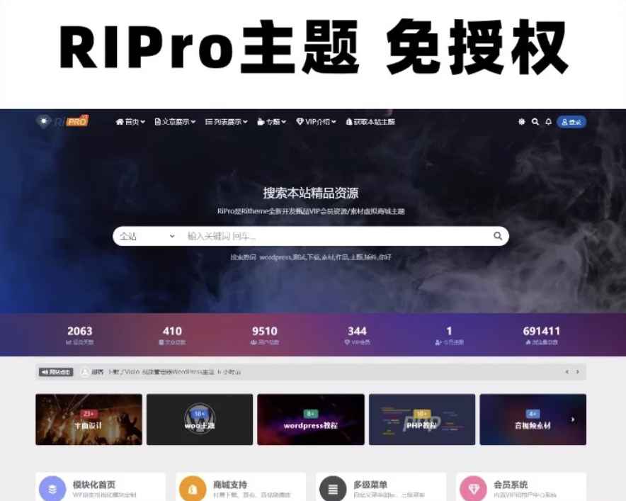 Wordpress模板日主题资源下载主题源码模板 RiPro v8.5 开心版 第1张