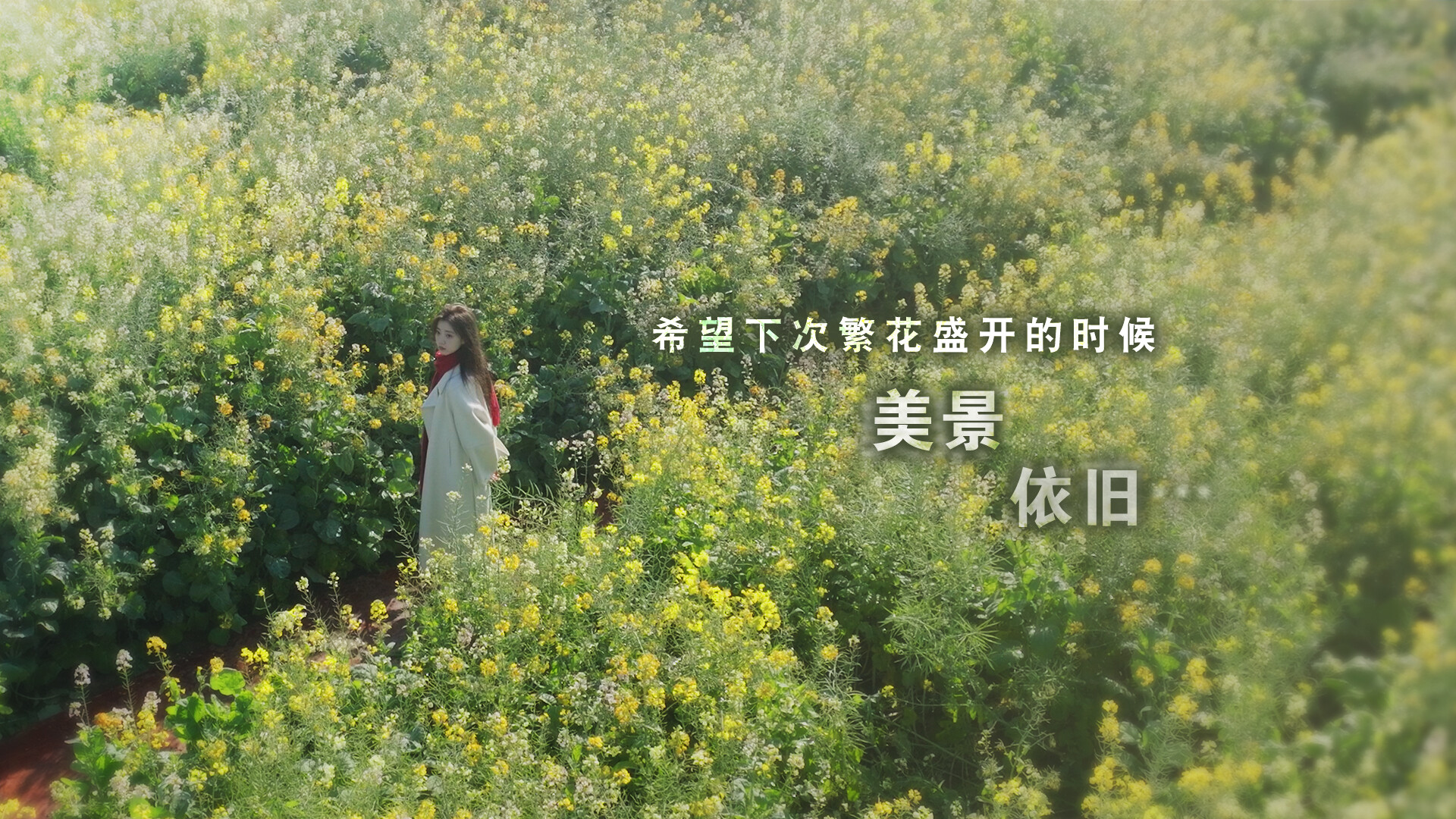 这个是真的喜欢！/I've Fallen For You!  第6张