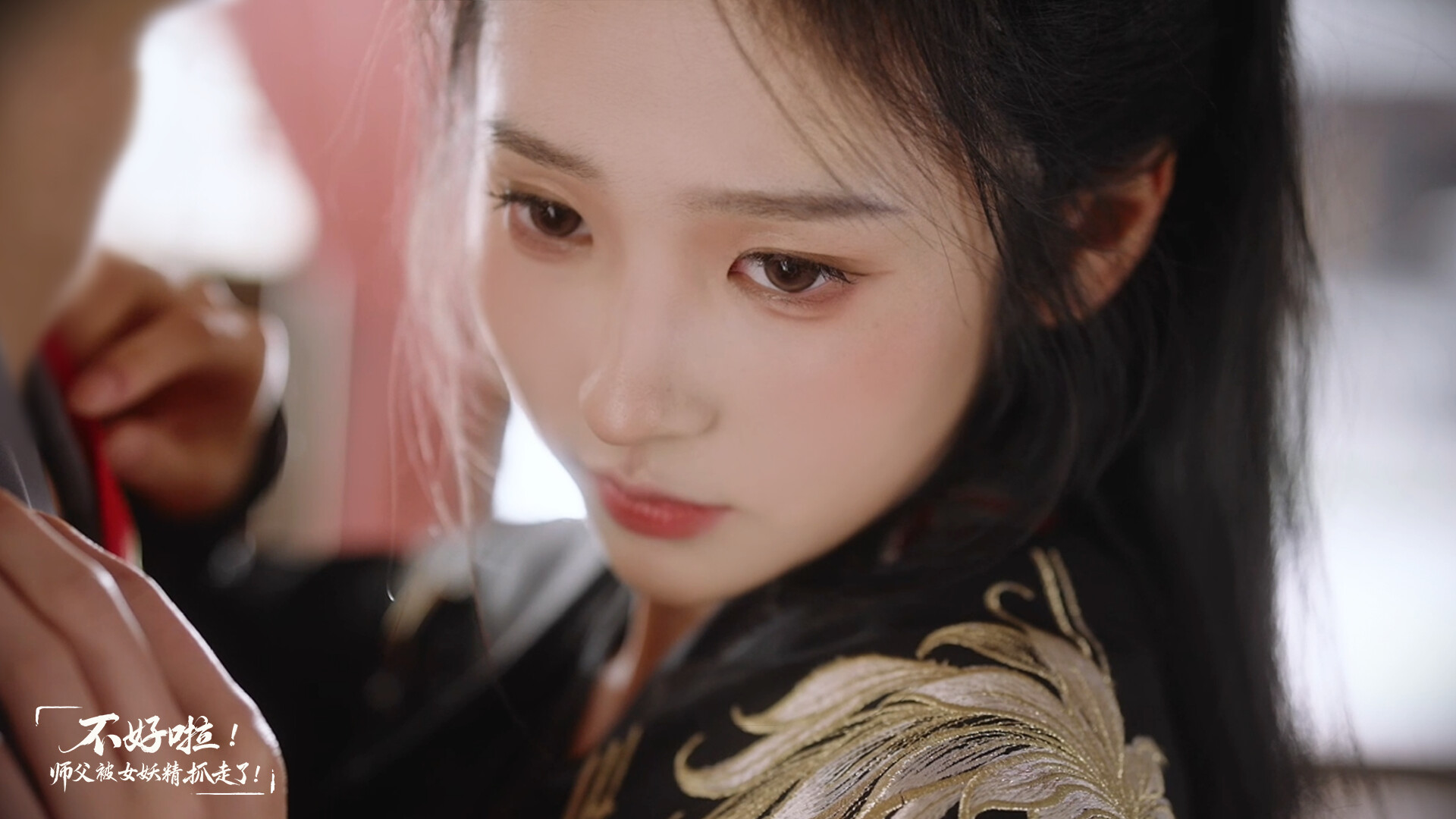 不好啦！师父被女妖精抓走了！/SIFU Kidnapped! Adventure in the Women's Kingdom  第2张