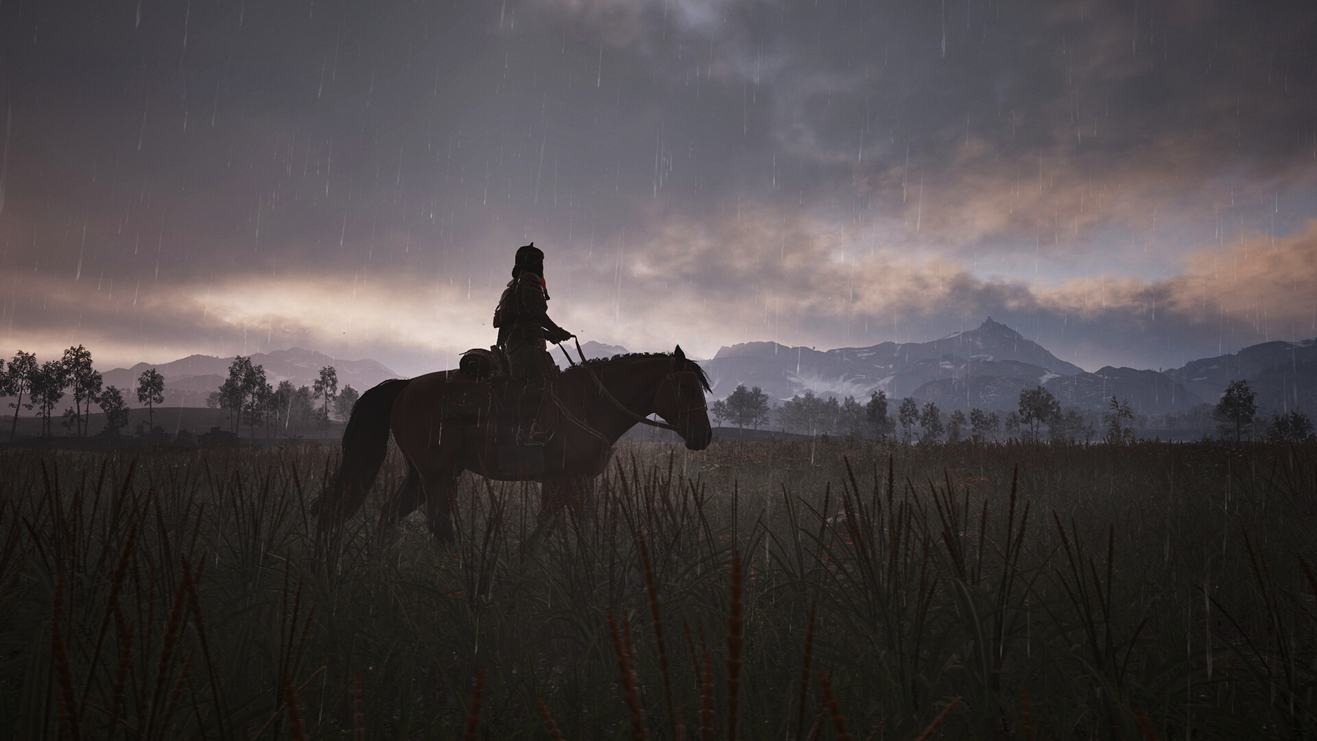 风之马传说/The Legend of Khiimori  第1张